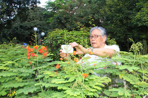 画家孙日晓：写罢云烟终未散，又见瓜果飘香时