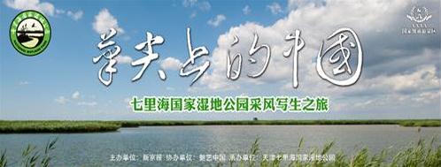 笔尖上的中国--天津七里海国家湿地公园文化之旅在津启动