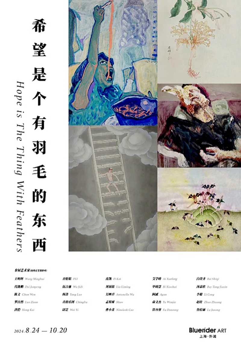 “希望是个有羽毛的东西”中国85后青年艺术家征件展